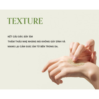 Set 2 Tinh Chất Dưỡng Da, Kiểm Soát Bã Nhờn Elravie HyCicaMue Ampoule 50ml