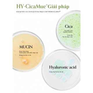 Set 2 Hộp Toner Pad Làm Dịu Da Elravie HyCicaMue 80 Miếng