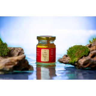 [Yến Chưng] Sẵn Vị Đông Trùng - Yến Sào Ngọc Tâm An - Không chất bảo quản (Hũ/75ml)