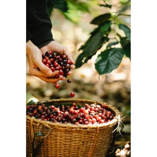 [HOT TREND] Nước Hoa Nam BLEU CHA.NL ( chai chiết 10ml)Hương Gỗ Nam Tính, Lịch Lãm & Cuốn Hút  Lưu Hương Lâu