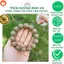 Vòng trầm hương An Bình 14ly trầm kiến Quảng Nam thơm đẹp cho cổ tay nam thu hút tài lộc