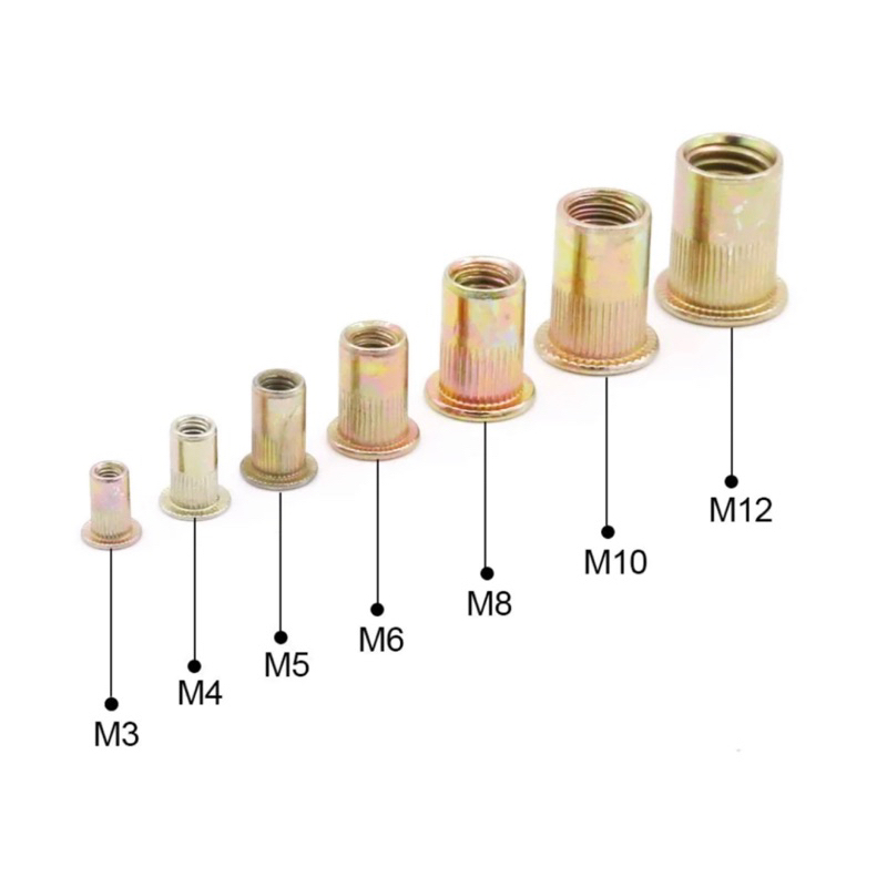 Combo 100c ốc rút M3, M4, M5, M6, M8, M10, M12 chất lượng cao | Shopee ...