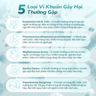 Nước Rửa Bình Sữa Và Chén Bát Thành Phần Thiên Nhiên GOONGBE Chai 500ml/ túi 400ml
