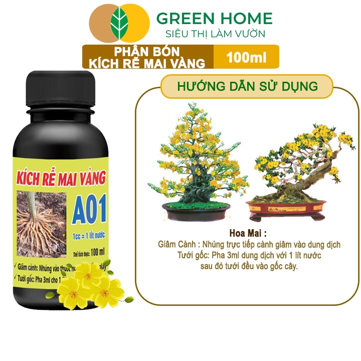 Ảnh Phân Bón Kích Rễ Mai Vàng GreenHome, Hũ 100ml, Ra Rễ Cực Mạnh Dùng Giâm, Chiết Cành, Chuyên Hoa Mai 2