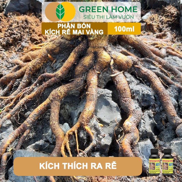 Ảnh Phân Bón Kích Rễ Mai Vàng GreenHome, Hũ 100ml, Ra Rễ Cực Mạnh Dùng Giâm, Chiết Cành, Chuyên Hoa Mai 4