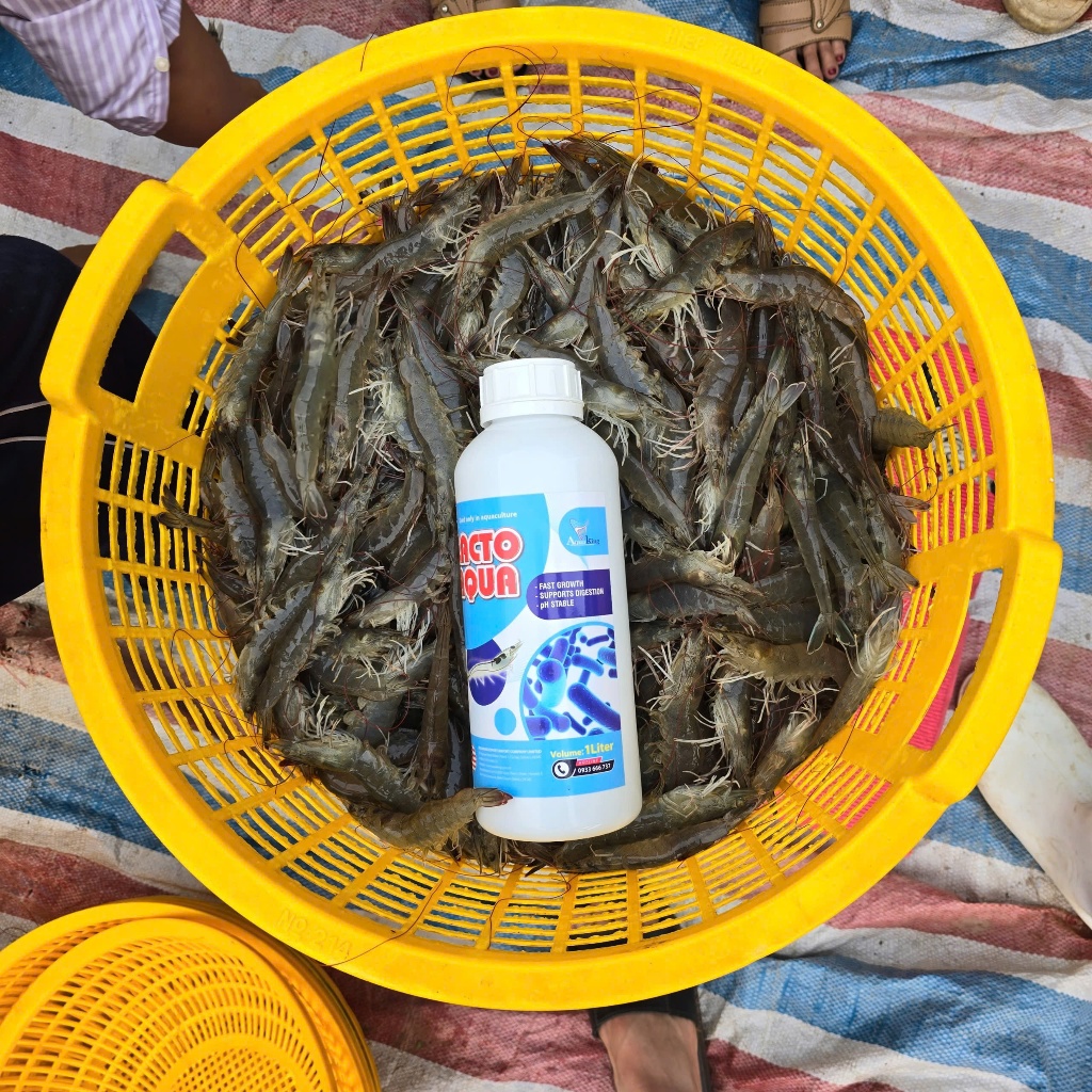 "MEN ĐƯỜNG RUỘT DẠNG NƯỚC – GIẢI PHÁP VÀNG CHO TIÊU HÓA KHỎE, VẬT NUÔI LỚN NHANH!"
