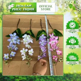 Hoa thiên sứ - lan hải đường 1 nhánh 70cm hoa cao cấp #hoa_trang_trí #lan_hải_đường #hoa_thiên_sứ #bình_hoa_trang_trí