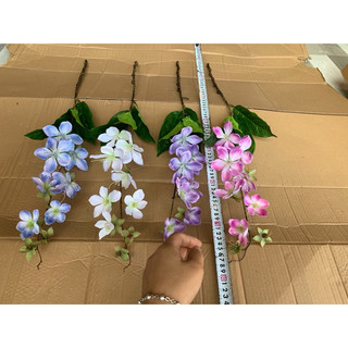 Hoa thiên sứ - lan hải đường 1 nhánh 70cm hoa cao cấp #hoa_trang_trí #lan_hải_đường #hoa_thiên_sứ #bình_hoa_trang_trí