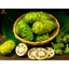 Cây Nhàu giống (mua 10 tặng 1)