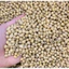 Đậu tương vàng, đậu nành sống -10 kg