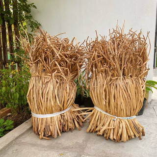 [Ảnh Thật] Tách Lẻ 1 Bó (80 Cọng) Dây Lục Bình Phơi Khô DIY Decor Trang Trí