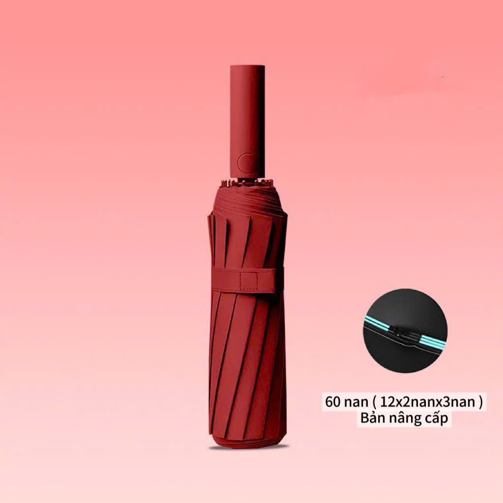 Đỏ 60 Nan