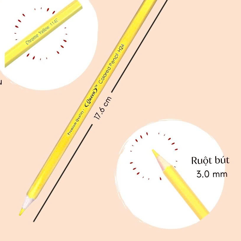 Ảnh Bút chì màu Queen - 12/18/24 màu CP-H12/CP-H18/CP-H24 4
