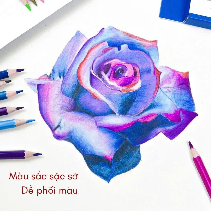 Ảnh Bút chì màu Queen - 12/18/24 màu CP-H12/CP-H18/CP-H24 3