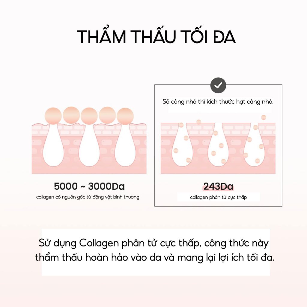 Ảnh BIODANCE Tinh chất Collagen Thu Nhỏ Lỗ Chân Lông Cải Thiện Độ Đàn Hồi Da Pore Tightening Collagen Ampoule 50ml 4