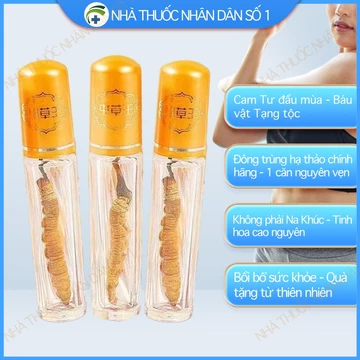 Đông trùng hạ thảo loại đứt cao cấp năm 2024 được tuyển chọn khuyên dùng, đông trùng hạ thảo tươi nguyên chất từ thịt, h
