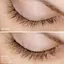 Huyết thanh dưỡng mi và lông mày Contours Rx Botanical dày hơn và đầy đặn