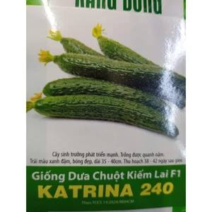 HẠT GIỐNG DƯA CHUỘT KIẾM RD 240