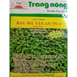 HẠT GIỐNG RAU MÁ TÂN AN TN 3 (1GR)