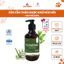 Sữa Tắm Charmie Thảo Dược Cho Thú Cưng - Khử Mùi Hôi, Dưỡng Lông Bóng Mượt 280ml_Fivevet