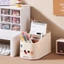 Khay đựng bút, remote và mỹ phẩm đa năng 4 ngăn – Phù hợp bàn làm việc.