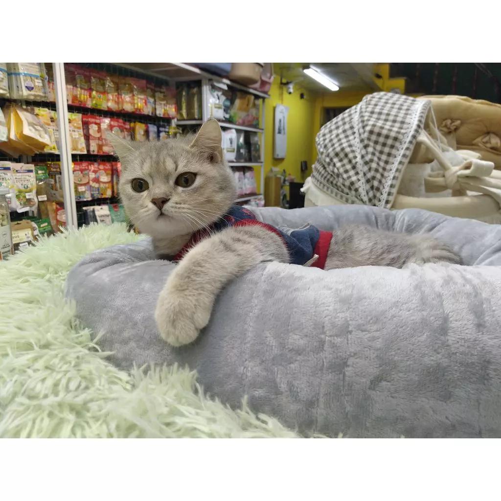 Chi tiết thành phần dinh dưỡng trong hạt