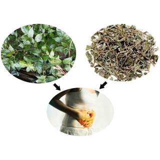 Chè Dây Cao Bằng Thượng Hạng Lá Ngọc Hỗ Trợ Thanh Lọc Tối Ưu Cho Sức Khỏe Gói 500g