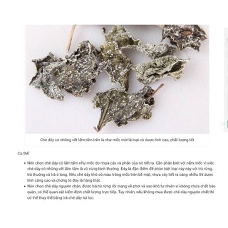 Chè Dây Cao Bằng Thượng Hạng Lá Ngọc Hỗ Trợ Thanh Lọc Tối Ưu Cho Sức Khỏe Gói 500g