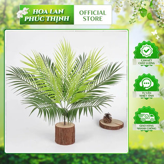 Cụm dừa bé -cây dừa giả nhỏ 50 cm  trang trí cao cấp #cây_dừa_bé #cây_ trang_trí