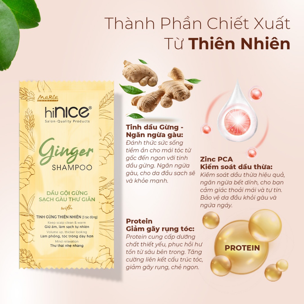 Ảnh Dây Dầu Gội Tinh Dầu Gừng Thiên Nhiên hiNICE Ginger Shampoo Hỗ Trợ Giữ Ẩm, Sạch Gàu Da Đầu 4