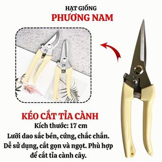 Kéo Cắt Tỉa Cành Mũi Thẳng + Mũi Cong Phương Nam – Dụng Cụ Làm Vườn, Cắt Cành Hoa.