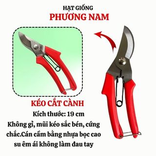 Kéo Cắt Tỉa Cành Mũi Thẳng + Mũi Cong Phương Nam – Dụng Cụ Làm Vườn, Cắt Cành Hoa.