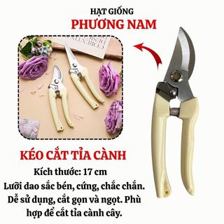 Kéo Cắt Tỉa Cành Mũi Thẳng + Mũi Cong Phương Nam – Dụng Cụ Làm Vườn, Cắt Cành Hoa.