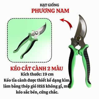 Kéo Cắt Tỉa Cành Mũi Thẳng + Mũi Cong Phương Nam – Dụng Cụ Làm Vườn, Cắt Cành Hoa.