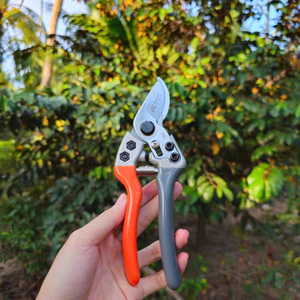 Kéo cắt cành tỉa cành Kapusi - Dụng Cụ Nông Nghiệp GD Smart