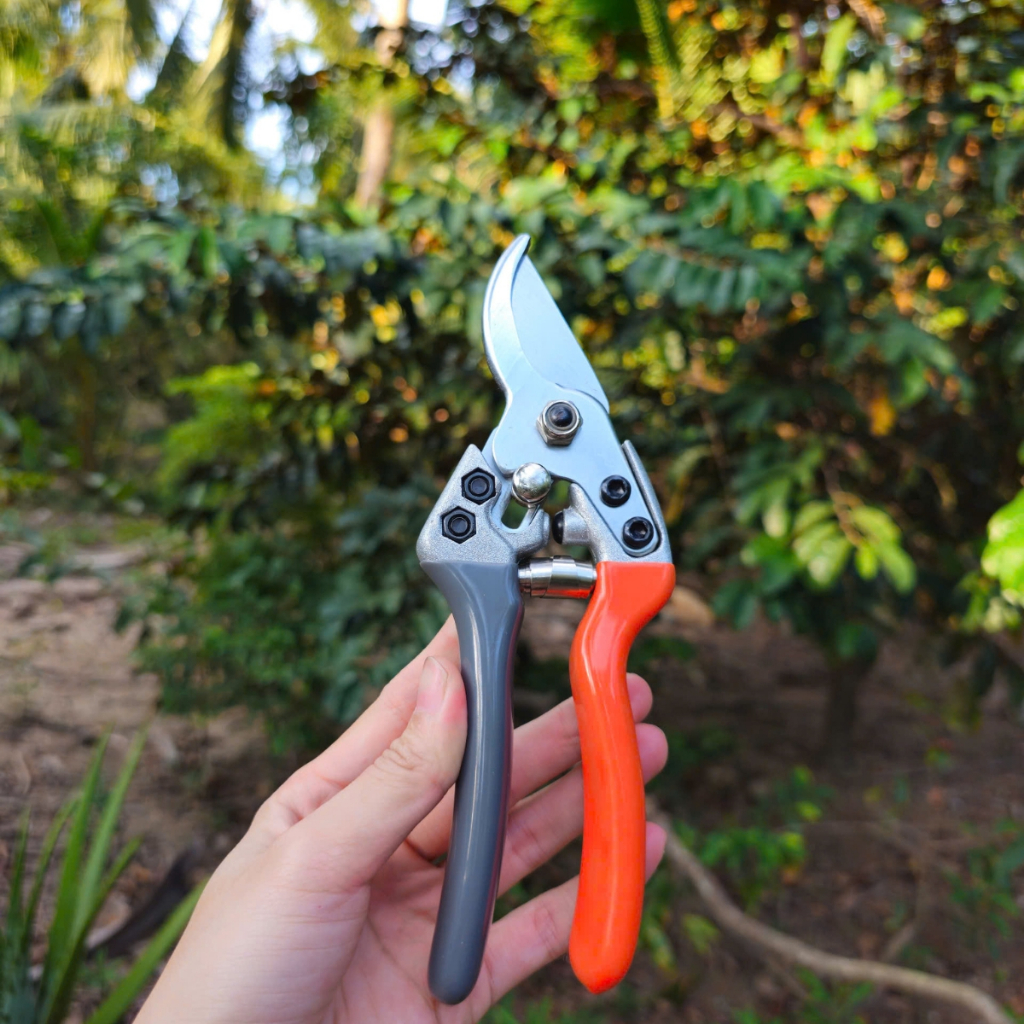 (Hàng xịn) Kéo cắt cành tỉa cành Kapusi - Dụng Cụ Nông Nghiệp GD Smart