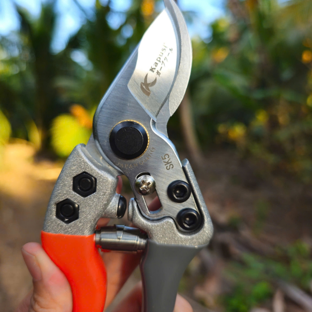 (Hàng xịn) Kéo cắt cành tỉa cành Kapusi - Dụng Cụ Nông Nghiệp GD Smart