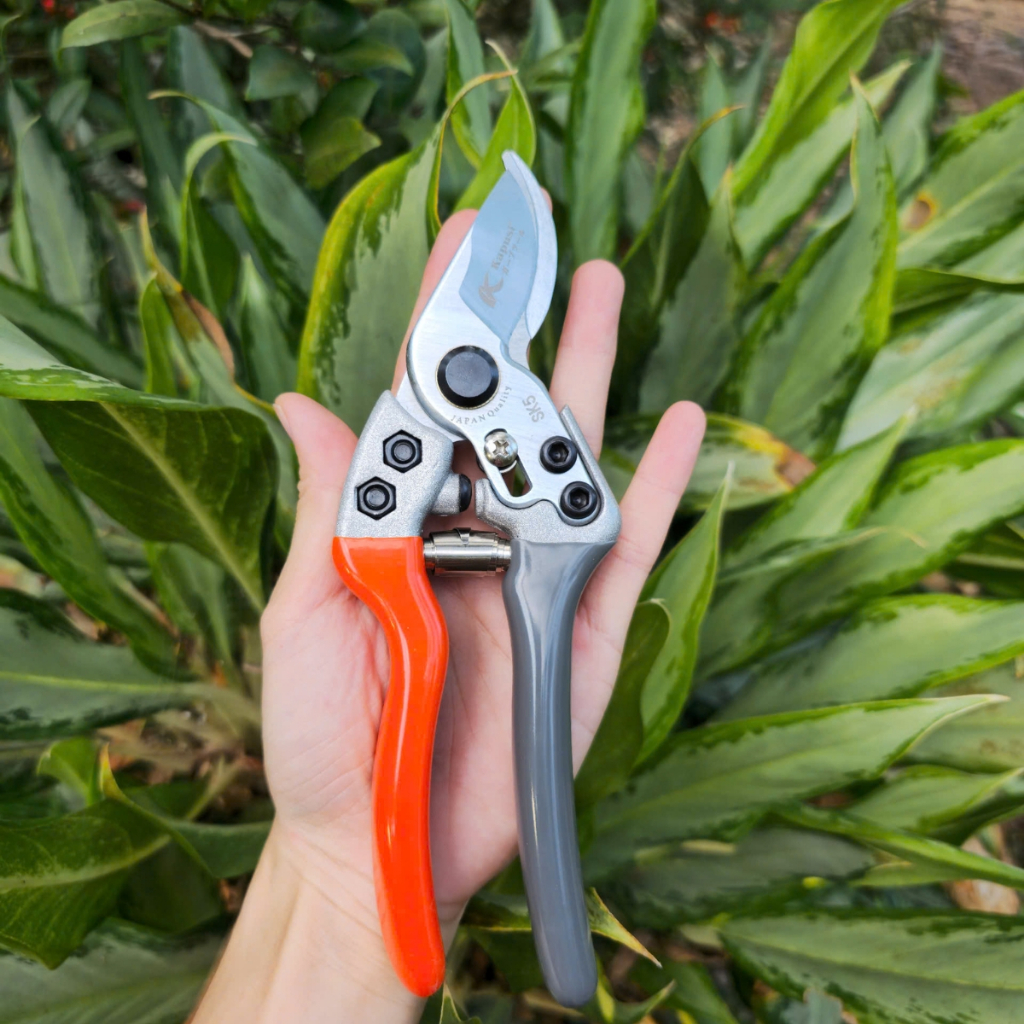 (Hàng xịn) Kéo cắt cành tỉa cành Kapusi - Dụng Cụ Nông Nghiệp GD Smart