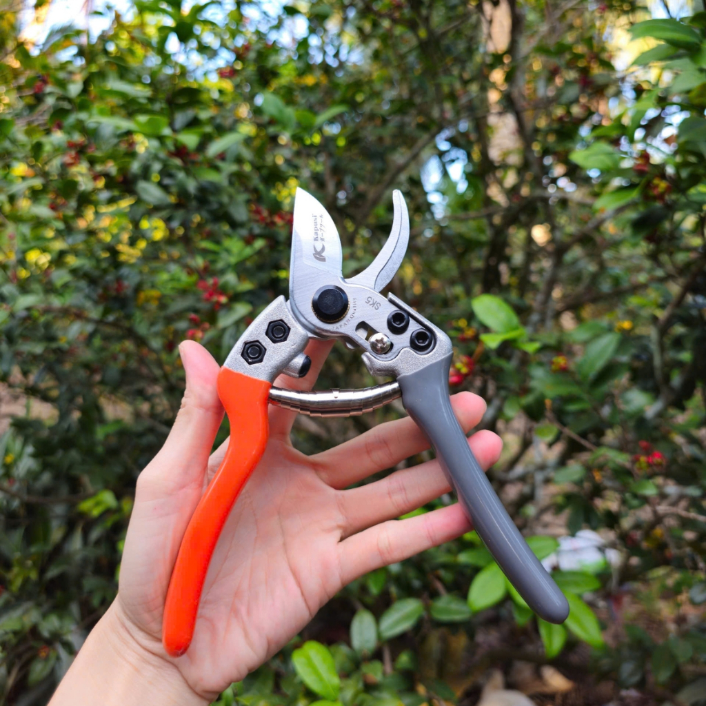 (Hàng xịn) Kéo cắt cành tỉa cành Kapusi - Dụng Cụ Nông Nghiệp GD Smart