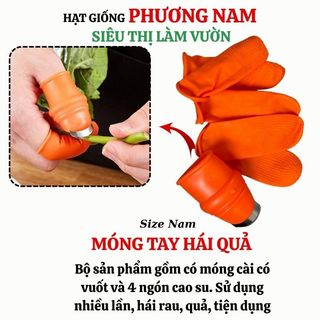 Bao Tay, Găng Tay Làm Vườn Phương Nam, Bảo Hộ Lao Động | Nhiều Mẫu Mã, Độ Bền Cao, Tiết Kiệm