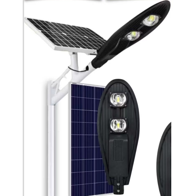 Đèn Đường Năng Lượng Mặt Trời Chiếc Lá 100W Chip COB 3030 Hiệu Suất Sáng Cao Sáng Nguyên Đêm