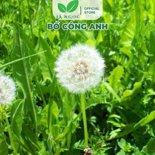 Lá Bồ Công Anh Sấy Khô Thương Hiệu Lá Ngọc Hỗ Trợ Giúp Ngủ Ngon,Lợi Sữa Gói 1kg