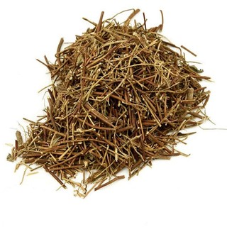 Cà Gai Leo Khô Lá Ngọc Hỗ Trợ Tăng Cường Chức Năng Gan Và Hạ Men Gan Gói 500g