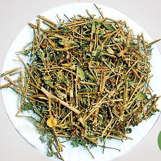 Cà Gai Leo Khô Lá Ngọc Hỗ Trợ Tăng Cường Chức Năng Gan Và Hạ Men Gan Gói 500g