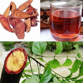 Cây Cỏ Máu Sấy Khô Lá Ngọc Bổ Khí Huyết, Tăng Cân, Lợi Sữa Gói 500g