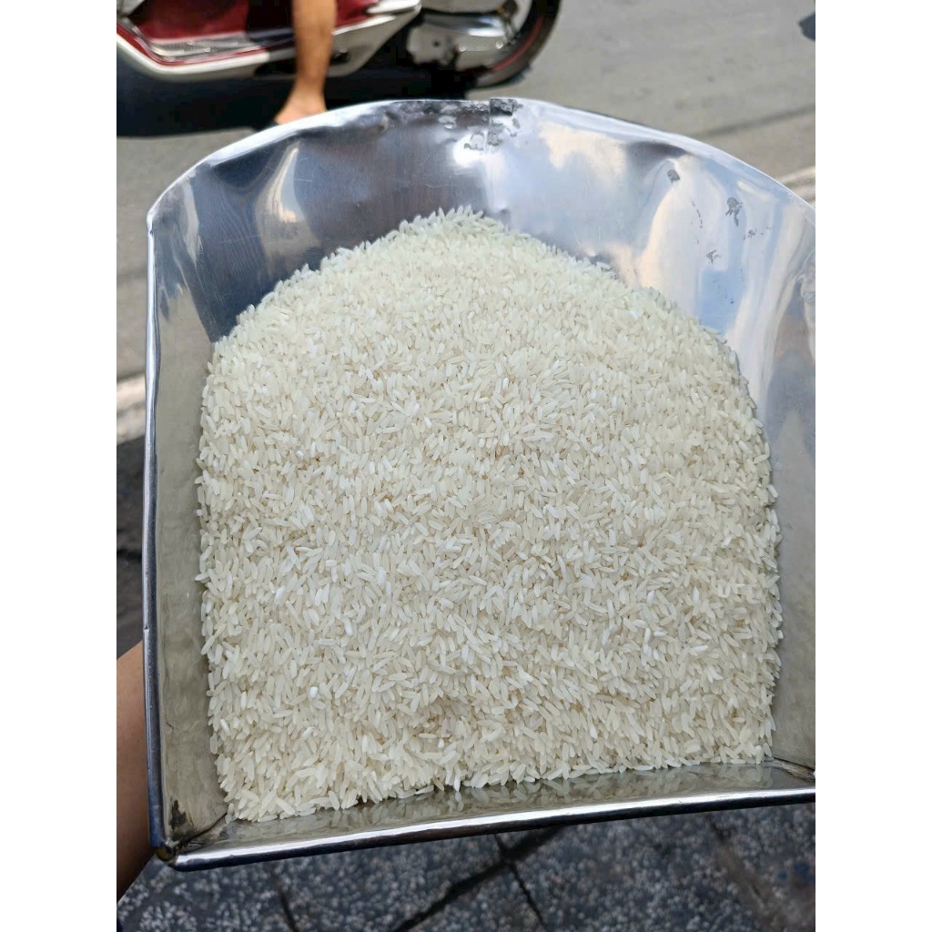 5kg Gạo Kate cũ - nở nhiều, KHÔ, RỜI CƠM, tơi, xốp, dùng chiên cơm gà xối mỡ, cơm xào, gia đình thích ăn gạo xốp.