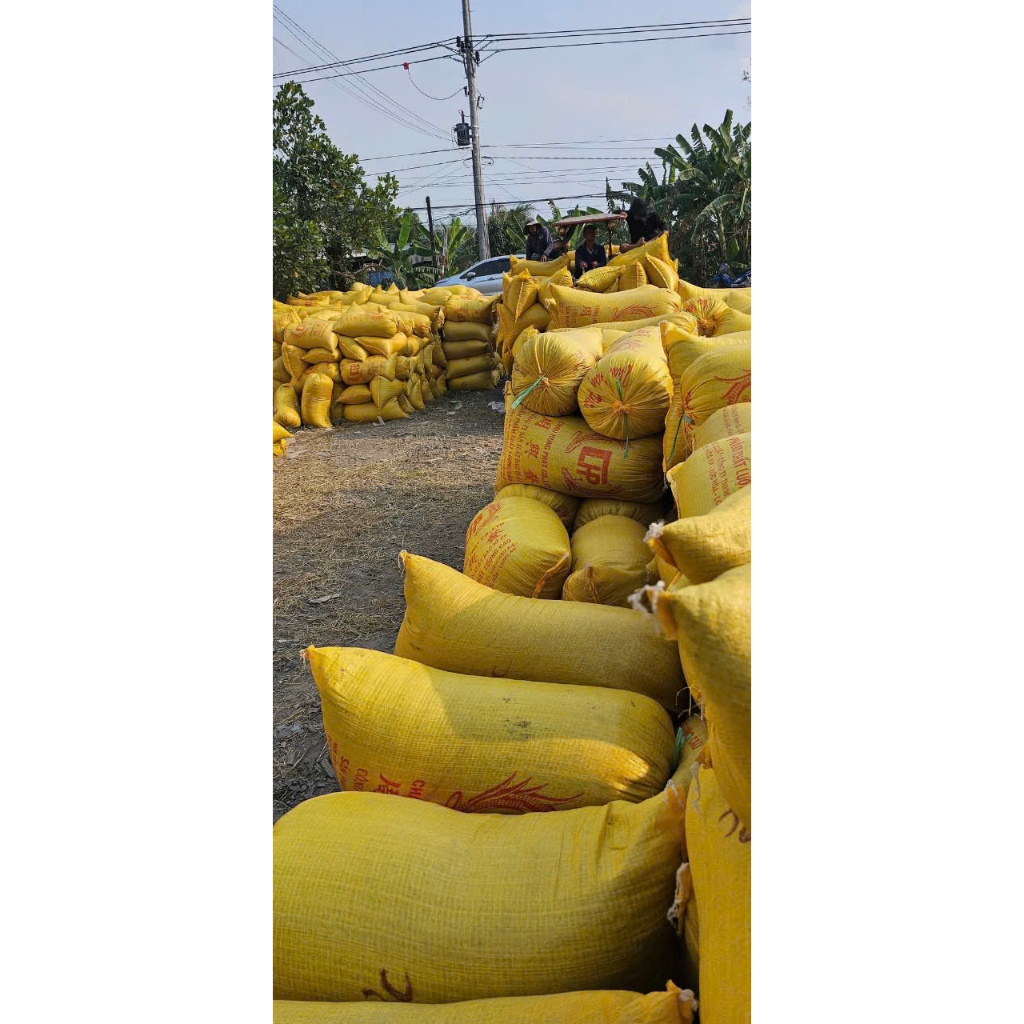 5kg Gạo/ tấm phế cho mèo, chó, vật nuôi ăn. Nở nhiều, lợi cơm. Gạo phế nhưng nhìn ổn, không có hôi mùi mốc