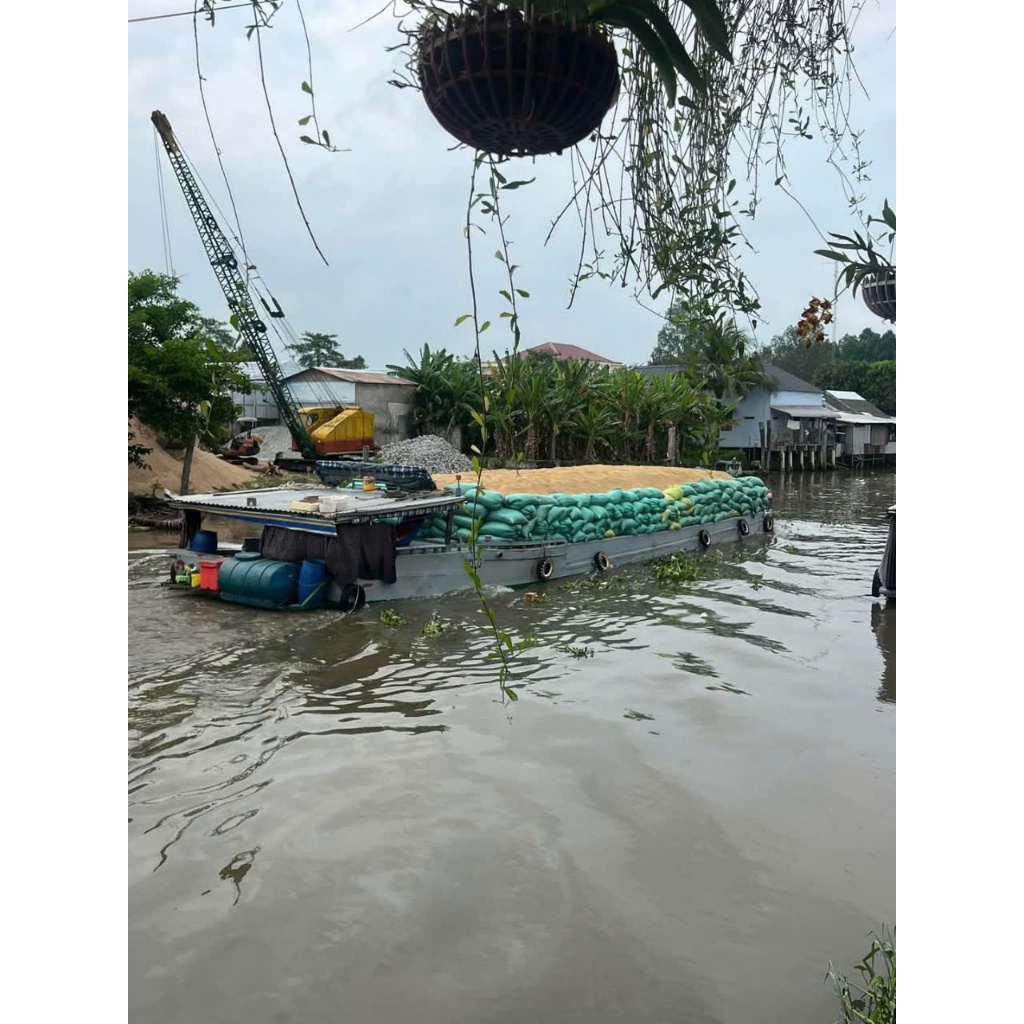 5kg Gạo/ tấm phế cho mèo, chó, vật nuôi ăn. Nở nhiều, lợi cơm. Gạo phế nhưng nhìn ổn, không có hôi mùi mốc