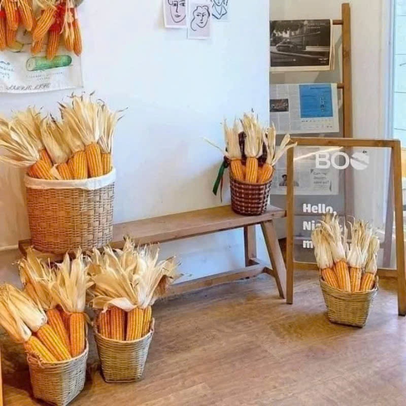 ComBo 5 Trái bắp hoa ngô khô dùng để decor chụp hình trang trí tiểu cảnh đồng quê, trái to đều hạt
