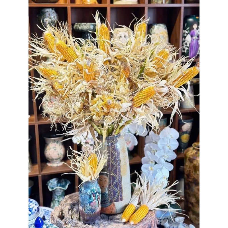 ComBo 5 Trái bắp hoa ngô khô dùng để decor chụp hình trang trí tiểu cảnh đồng quê, trái to đều hạt